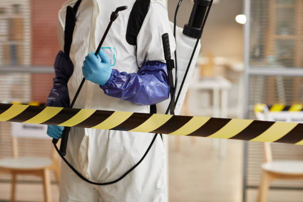 Professional Sewage Cleanup technician working in Castle Rock, WA
