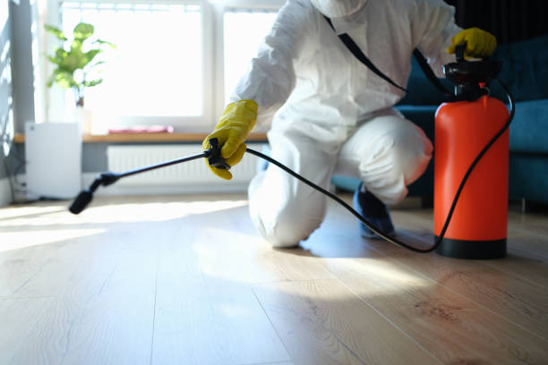 Reliable Sewage Cleanup contractor in Castle Rock, WA by Trauma Clean Pros